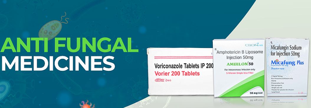 Understanding Different Types of Fungal Infections: A Guide to Choosing the Right Antifungal Medication&nbsp;Online
